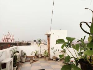 un balcón con macetas en una pared blanca en Luxury Family Suite Homestay in Vrindavan with Lobby, Balcony, Kitchen, Washing Machine - Free Wifi, No Parking, en Vrindāvan