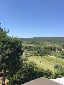 vista sulla campagna da una casa con un albero di La Casa degli Dei a San Gimignano Altre 6 foto
