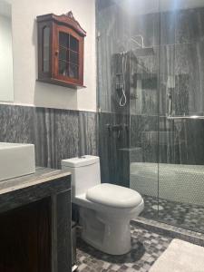 een badkamer met een toilet en een douche bij Castillo De La Santa Cruz in Guanajuato