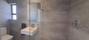 a bathroom with a shower with a sink and a toilet at SeeSkattie in St. Helena Bay +55 photos