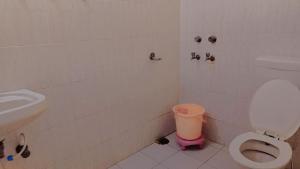 a bathroom with a toilet and a sink at Tiger Guest House & Restaurant in Sawāi Mādhopur