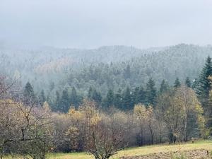 OdrzykońにあるZacisze na Podzamczuの畑の木々の山の景色