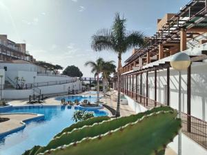 un complexe avec une piscine et des palmiers dans l'établissement Magec Holiday Tenerife, à San Miguel de Abona