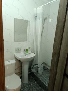 a bathroom with a toilet and a sink and a shower at Apart 41 in Almaty