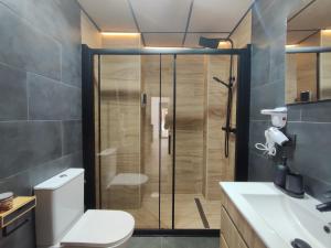 a bathroom with a shower with a toilet and a sink at Ohana homes 3 in Málaga