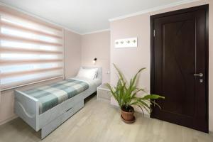een slaapkamer met een bed en een potplant bij Guesthouse Liliia in Karakol