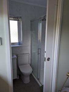 a bathroom with a toilet and a shower at Little Barham B&B 