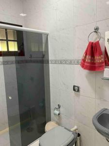 La salle de bains est pourvue de toilettes et d'une douche en verre. dans l'établissement Recanto Gabi Mafê., à Igaratá