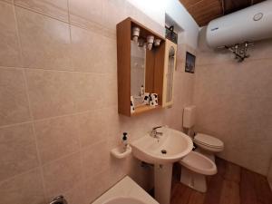 a bathroom with a sink and a toilet at La casa nell'airetta in Balme