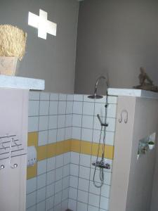 Vannituba majutusasutuses Boskanthuisje