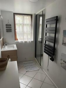 ein kleines Bad mit einer Dusche und einem Waschbecken in der Unterkunft Gite l'Atelier in Le Bû-sur-Rouvres