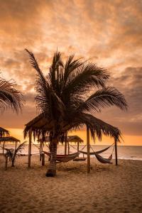 duas palmeiras e uma rede numa praia em Salv lodge casa frente al mar em Zorritos
