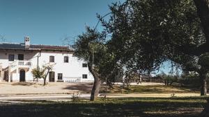 una casa blanca con árboles delante de ella en Tenute Donna Franca, en Elice