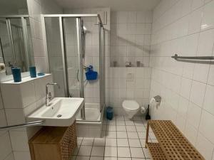 a bathroom with a shower and a sink and a toilet at Apartment Raum in Fehmarn Orth in Orth +22 photos