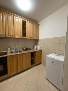 Η κουζίνα ή μικρή κουζίνα στο Apartman ARENA 1 Doboj