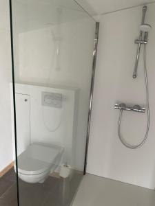 un bagno con wc e doccia di Chalet des sources. a Wasseiges