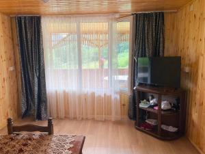 a living room with a television and a large window at MTIRALA HOTEL ZIPO in Ch'ak'vist'avi