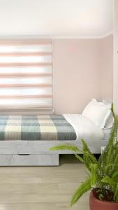 a bedroom with a bed with a window and a plant at Guesthouse Liliia in Karakol