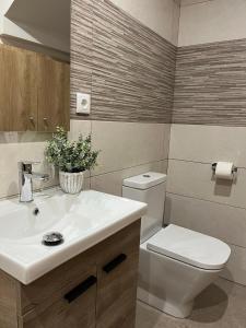 a bathroom with a white sink and a toilet at Apartamentos La Flor in San Martín de Moncayo