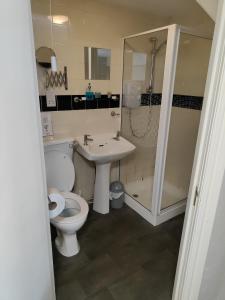 a bathroom with a toilet and a sink and a shower at Kings Arms Hotel in Kirkby Lonsdale