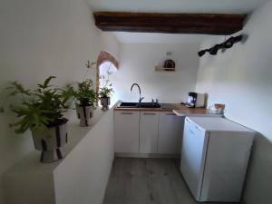 a small kitchen with white cabinets and potted plants at Wieża Gniezno Apartament WIEŻA in Gniezno