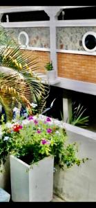 a group of flowers in white pots on a building at Résidence ARCHANGE in Pointe-Noire