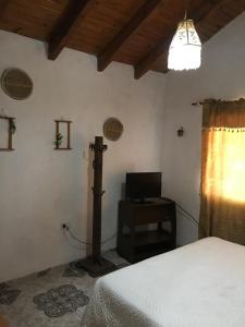 1 dormitorio con 1 cama y escritorio en una habitación en El Parralito hospedaje en Ciudad Lujan de Cuyo