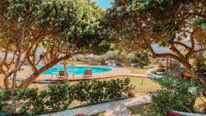 uma piscina num quintal com árvores em Ocas do Índio Hotel Spa em Beberibe