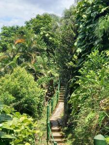 un chemin dans une forêt avec une clôture verte dans l'établissement Chalé de Madeira na Mata Atlântica e perto do Mar, à Angra dos Reis