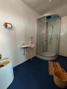 a bathroom with a shower and a toilet and a sink at Lake View Lodge in Puno