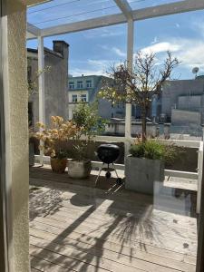 eine Terrasse mit Topfpflanzen und einem Grill auf dem Balkon in der Unterkunft Luxury City Penthouse Apartment in Wien