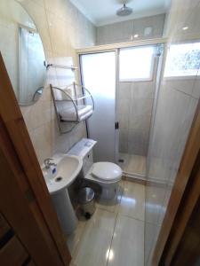 a bathroom with a toilet and a sink and a shower at Visok B&B in Frutillar +25 photos
