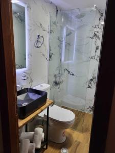a bathroom with a sink and a toilet and a shower at Guest House Hasko in Gjirokastër