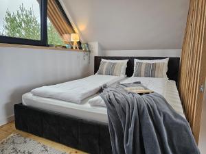 a bedroom with two beds and a window at Domki Pod Lasem - Domek Sosnowy in Stronie Śląskie