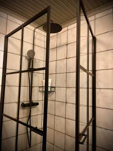 a shower with a glass door in a room at Lilla Hotellet in Tranemo