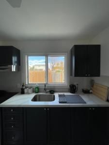 cocina con fregadero y ventana en Charming One Bedroom Near Bramalea City Centre en Brampton
