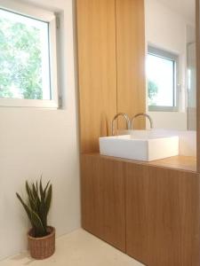 a bathroom with a sink and a mirror and a plant at Casa moderna julio y agosto in Ferrol