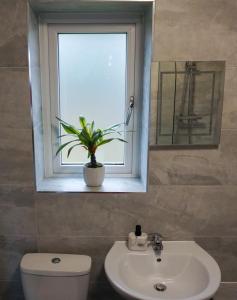 een badkamer met een toilet, een wastafel en een raam bij The Oasis in Wigan