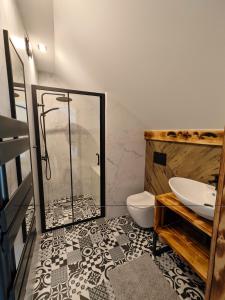 een badkamer met een douche, een toilet en een wastafel bij Pokoje Gościnne i Apartament Górski Widok in Czarna Góra