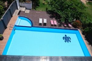 an overhead view of a blue swimming pool with a turtle on it at BeachMirissa Hotel in Mirissa