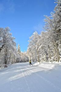 キンツハイムにあるGîte chez "Mamie Schlop"の雪に覆われた道をスキーをしている人