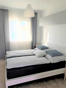 1 dormitorio con 1 cama grande y ventana en Modrý apartmán 1, en Znojmo