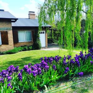 a garden of purple flowers in front of a house at Magia in Sierra de la Ventana