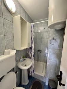 een badkamer met een wastafel, een toilet en een douche bij Divčibarski raj in Divčibare