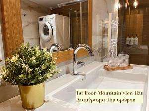 Kúpeľňa v ubytovaní Casa Delicosta- 2 Flat Country house with garden, 15 min from Trikala