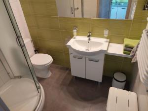 a bathroom with a white sink and a toilet at Dolina Miodu - Agro Kaszuby, Sauna, Balia in Borowina