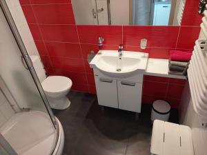 a bathroom with a white sink and a toilet at Dolina Miodu - Agro Kaszuby, Sauna, Balia in Borowina +34 photos