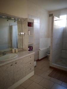 a bathroom with a sink and a shower and a toilet at La maisonnette in Cléry-Saint-André