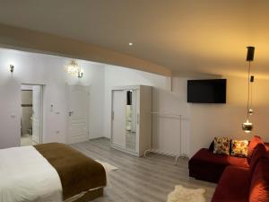 Vila Zoe BucharestAirport&Therme&Parking Otopeni的电视和/或娱乐中心
