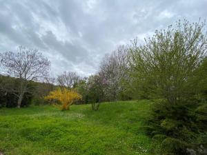 ein Grüngrasfeld mit Bäumen im Hintergrund in der Unterkunft charmante maison de campagne in Jonzac